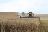 Szigorú büntetést kapott egy ukrán agrártermékkel üzletelő lengyel vállalat