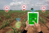 A termelők digitális átállását hogyan szolgálhatják az agráradatok A termelők digitális átállását hogyan szolgálhatják az agráradatok