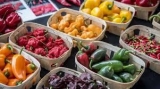 Tudományos kutatás a fenntarthatóbb környezetért Tudományos kutatás a fenntarthatóbb környezetért