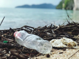 Műanyagkrízis: sikerült végre megoldást találni?