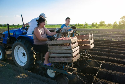 Bence nem kapott új szerződést – és most hoppon maradt