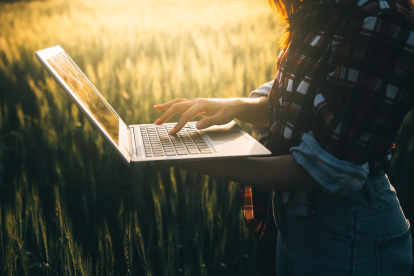 Szabadság 2026-ban – hogyan tervezzen februárban?