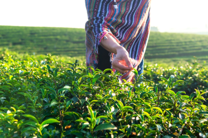 Valódi szolgáltatások és kézzelfogható előnyök