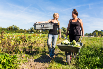 Új korszak kezdődik a magyar agráriumban – életbe lépett a szociális feltételesség szabályozása