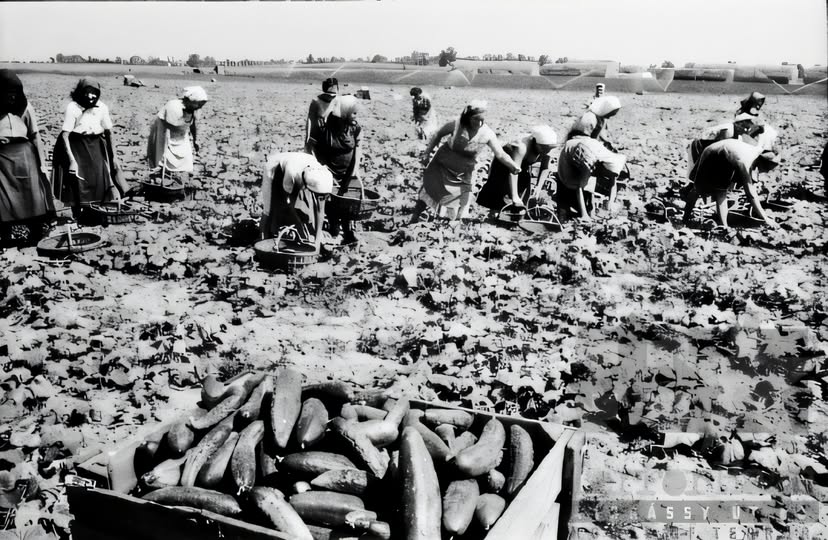 Fedezzük fel a MÉDOSZ történelmét: Több mint egy évszázad a munkavállalókért