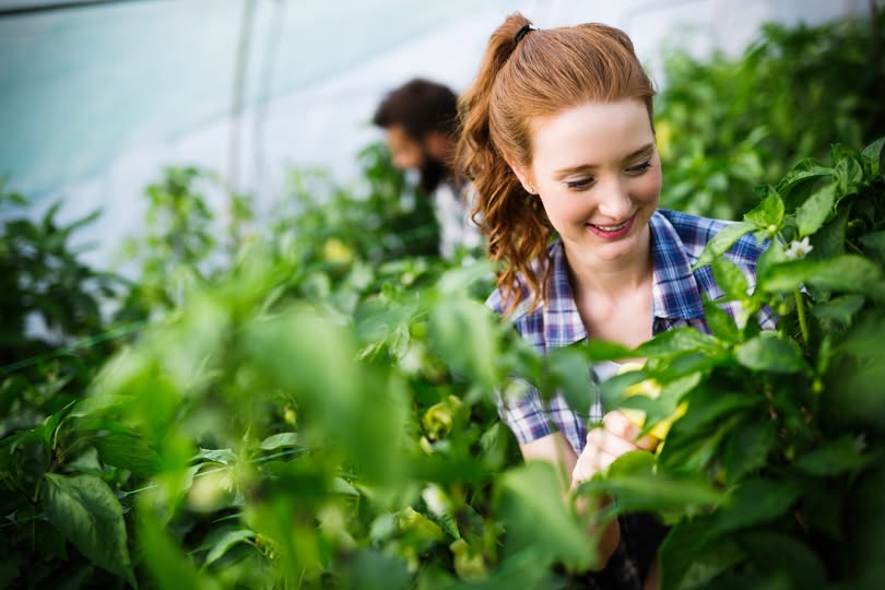 Hol vannak a diákok a mezőgazdaságból?