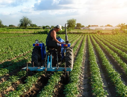 Szezonvégi bónusz és túlórák: amikor hiányzik a papír