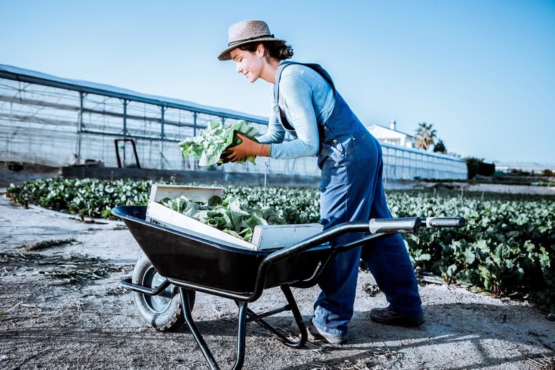 Megváltoztak az egyszerűsített foglalkoztatás szabályai