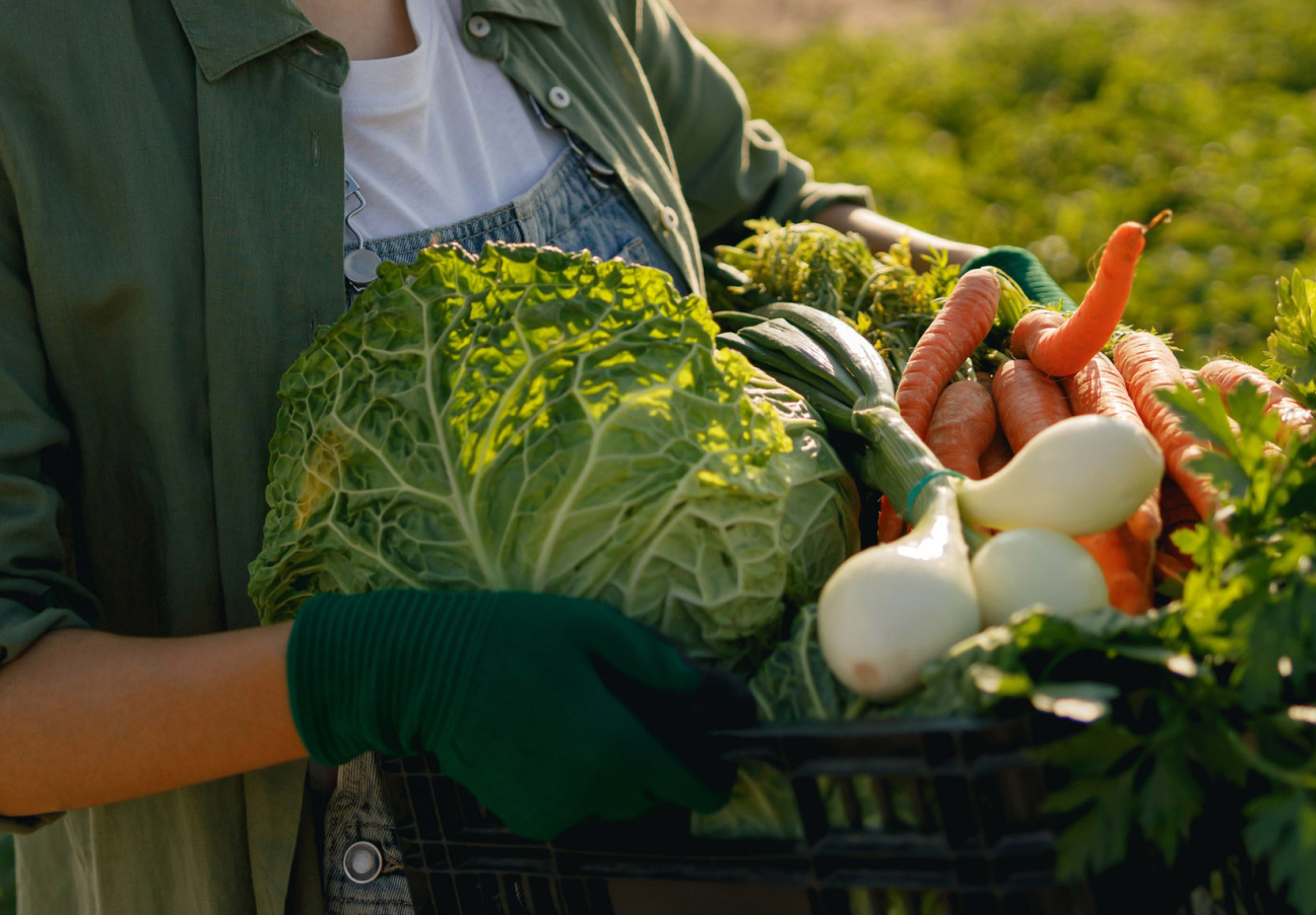 A szervezet jogi és szakmai védelmet nyújt minden élethelyzetben