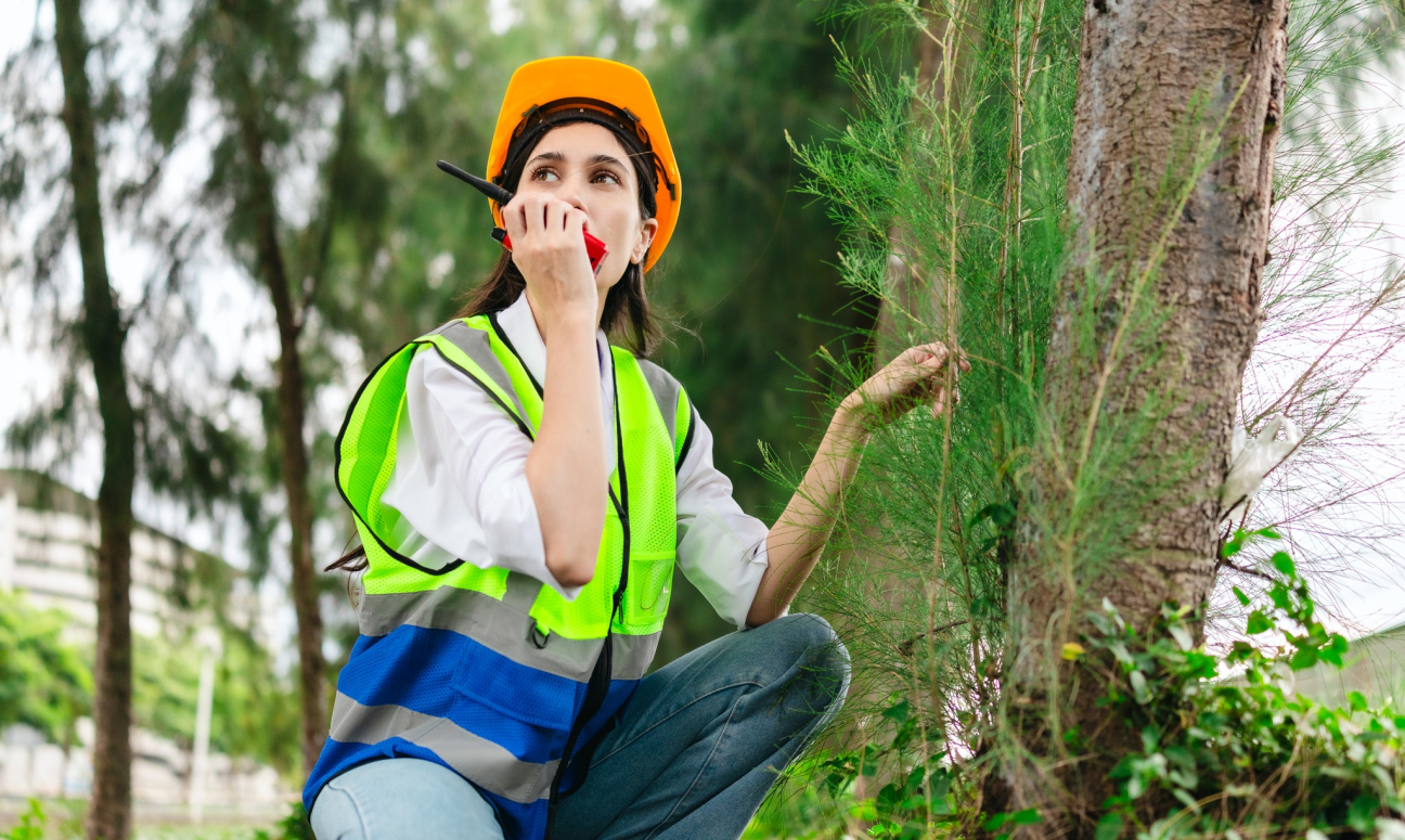 Próbaidő alatt is legyenek tiszta határok