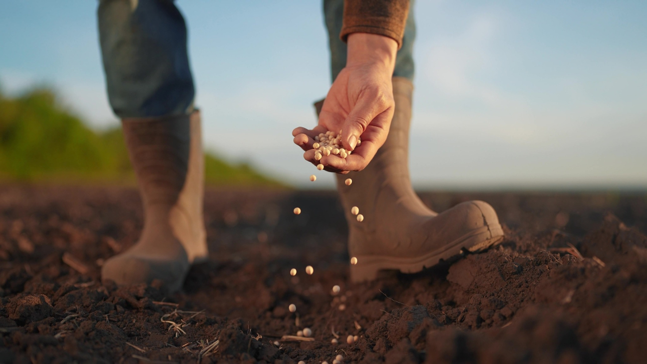 Munkáltató vs. munkavállaló: nem ugyanaz a kárfelelősség