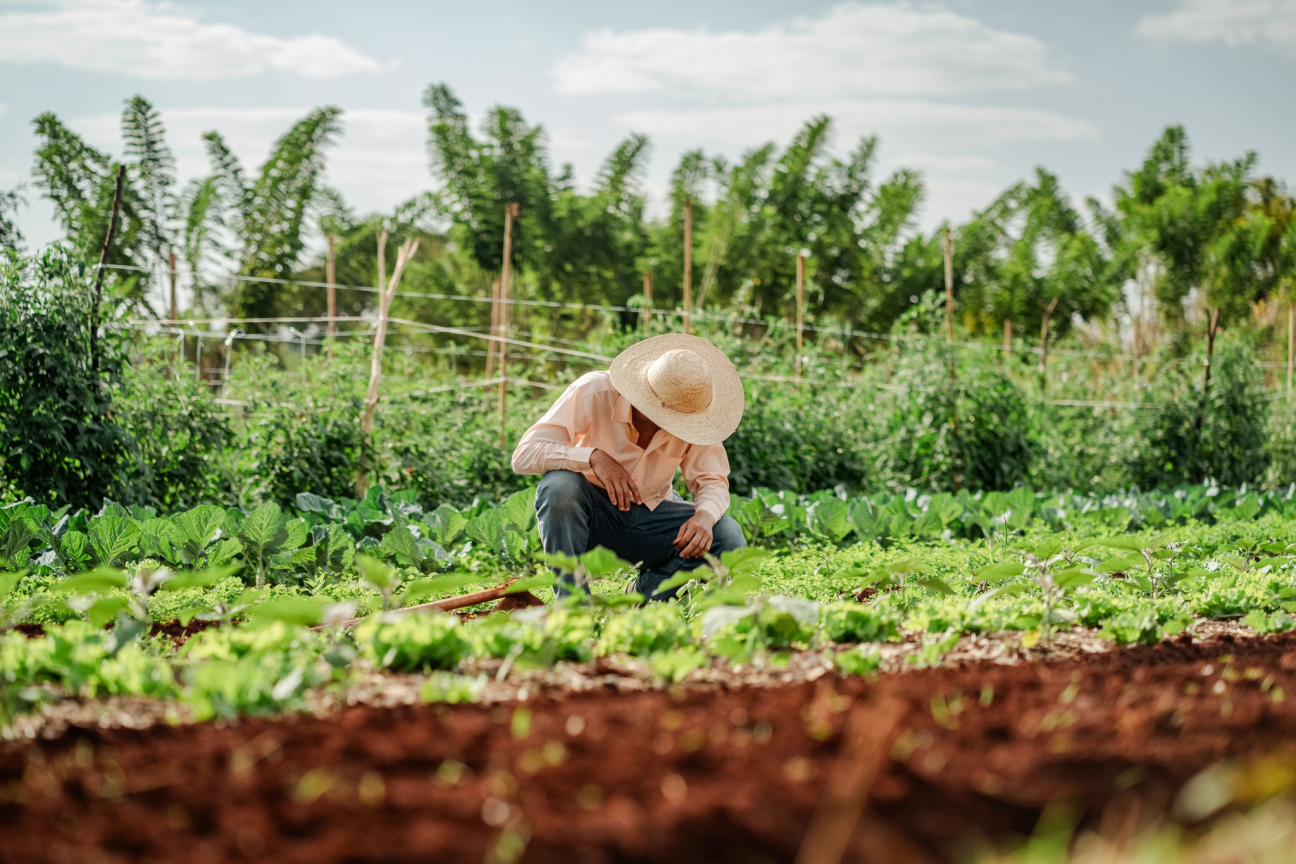 Mennyi a kártérítés? Gondatlanság, súlyos gondatlanság, szándék