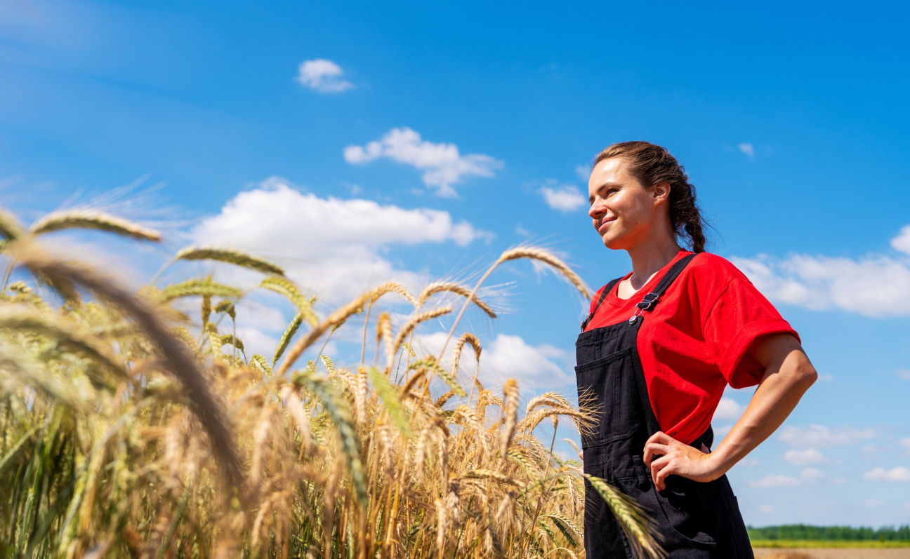 Erasmus+ és munkaerőpiac: miért fontos a MÉDOSZ hangja a program jövőjében