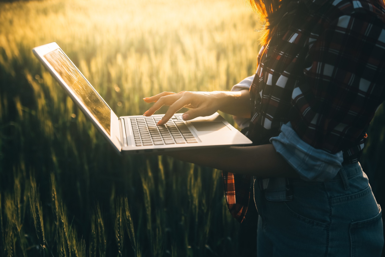 Szabadság 2026-ban – hogyan tervezzen februárban?