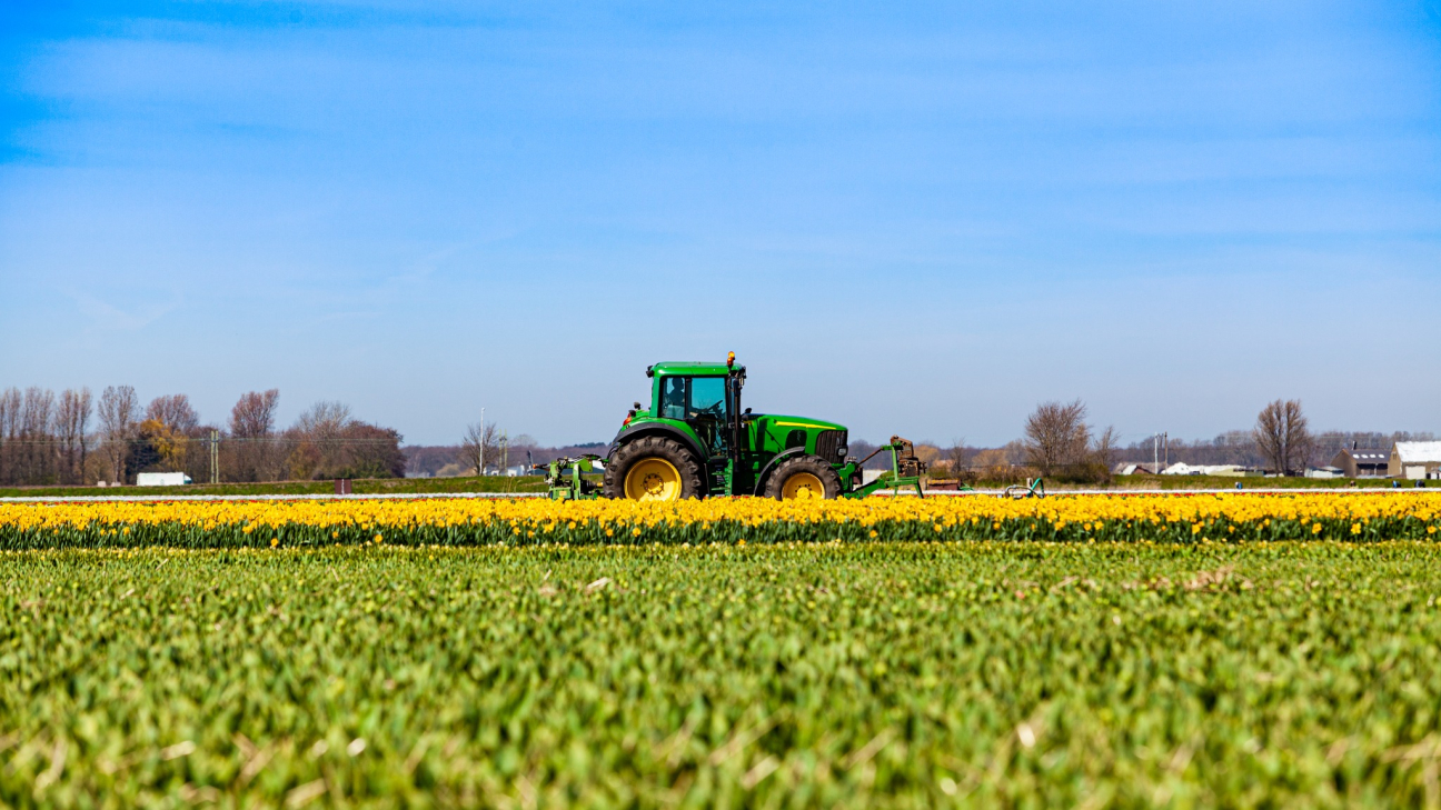 TUDTA-E? Van, amikor munkavégzés nélkül is jár pénz: állásidő és távolléti díj