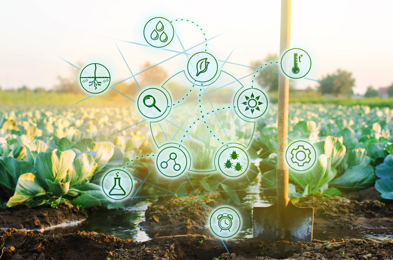 Stabilitás és hosszú távú gondolkodás