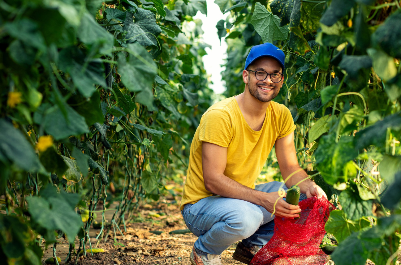 Miért fontos tisztában lenni a kártérítési szabályokkal?