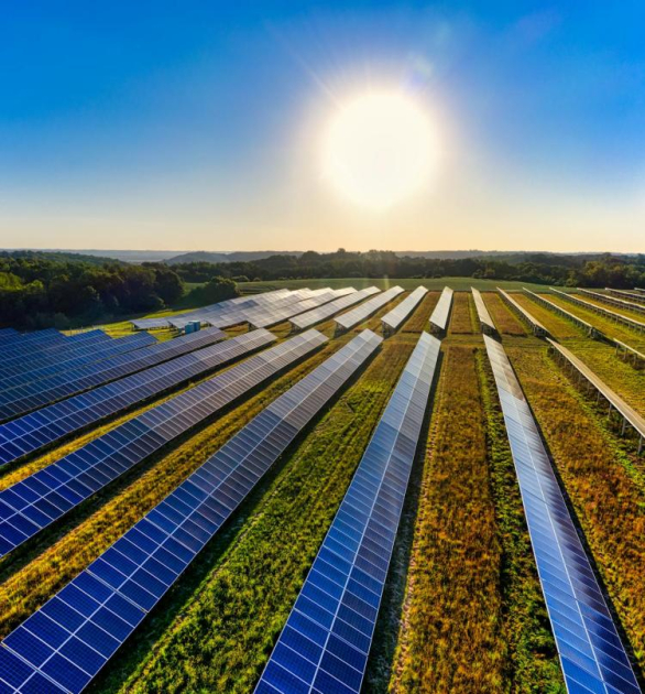 Tényleg a zöld energia lenne a magyar gazdaság jövője?