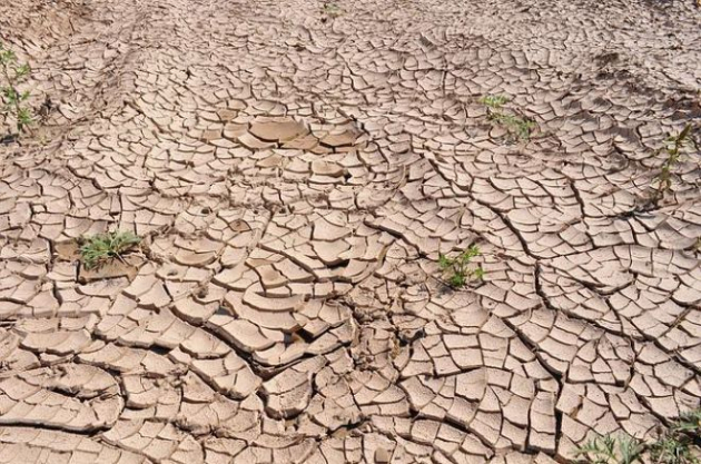 Kritikusan száraz a talaj! Kihirdethetik a tartósan vízhiányos állapotot