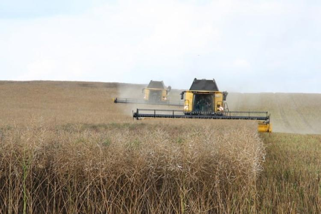 Szigorú büntetést kapott egy ukrán agrártermékkel üzletelő lengyel vállalat