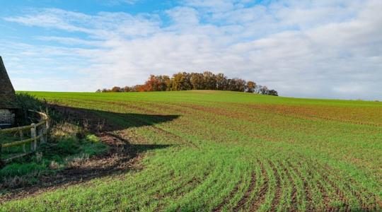 Szigorúbb feltételek vonatkoznak a termőföld művelésből való kivonására