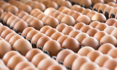 Olcsó import tojásokkal veszélyezteti a magyar piacot a Penny Market