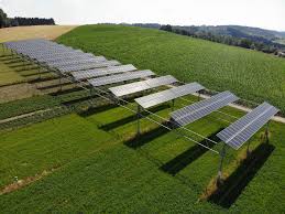 Napelemek és mezőgazdaság: agrofotovoltaikus rendszerek