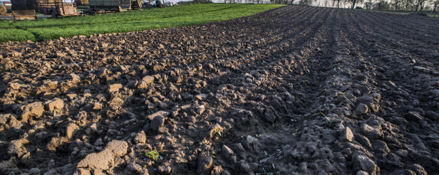 Szakmai tájékoztató a 2024. évi egységes kérelmek TM ellenőrzéséről 2.rész