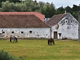 A németországi kisgazdaságok is bajban vannak, nem bírnak talpon maradni