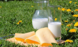 A hazai tejipar fejlesztésének szükségessége és lehetőségei