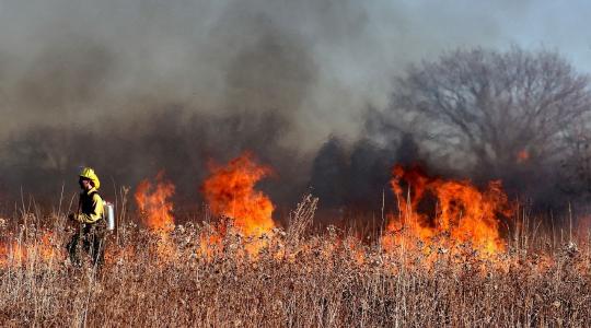 Sok tűzesethez riasztották a tűzoltókat