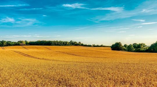 Az uniós agrártámogatásokat is a jogállamisághoz kötnék a svédek és a finnek