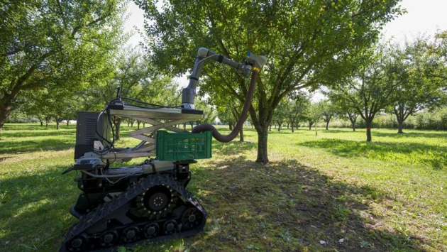 Mezőgazdasági robotok: éjjel-nappal szolgálatban, és még a piszkos munkát is elvégzik