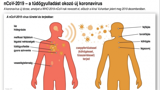 Koronavírus: jogi túlélőkészlet karantén esetére