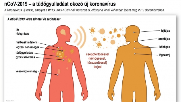 Lehangoló grafikonok: így pusztít a koronavírus-járvány