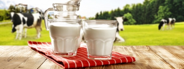 Hollandia: minden harmadik tejtermelő kiszáll