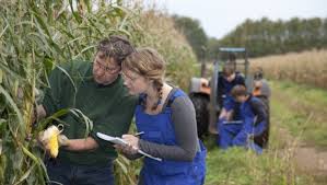 Ezt kár lenne kihagyni: ingyenes mentorprogram indult az agrárvállalkozások számára