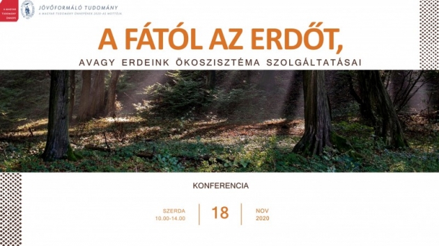 Fától az erdőt - online konferencia volt