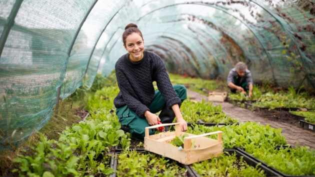 Itt a program: így terelnék vissza a magyar fiatalokat az agráriumhoz