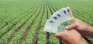 Pénzeső jön 2021 első felében: milliárdokat osztanak szét a magyar gazdák között
