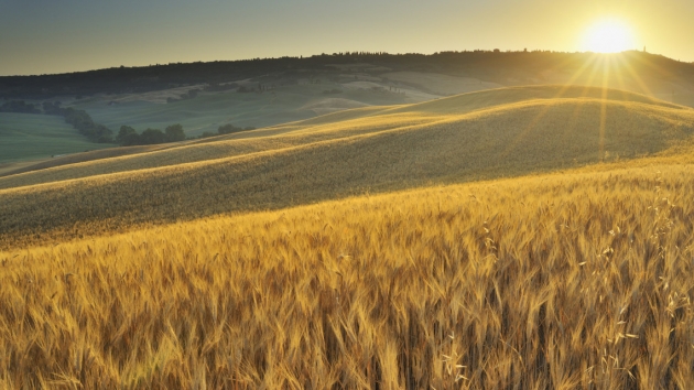 Megújuló agrárium, megújuló vidék