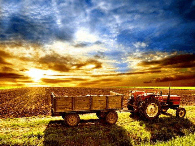 TOVÁBB ERŐSÖDÖTT A MAGYAR AGRÁRIUM TÁRSADALMI ELISMERTSÉGE