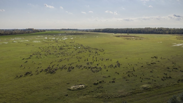 AM: a Natura 2000 területeket népszerűsíti a Hortobágyi Nemzeti Park fejlesztése