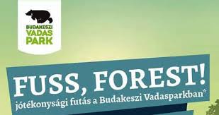 Sikeres volt a Fuss Forest