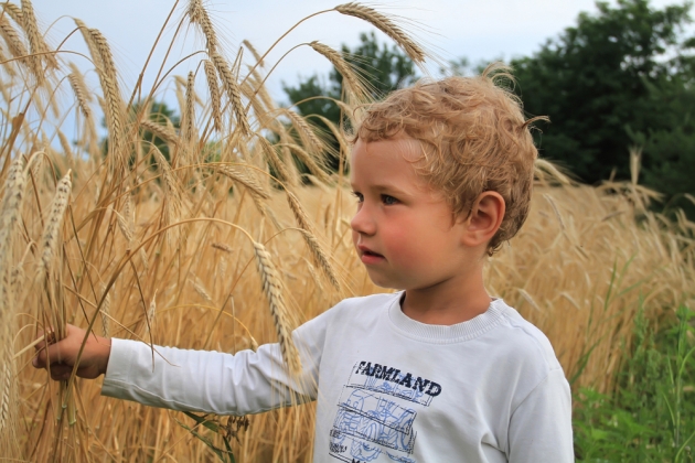 Az agráröröklés legfontosabb szabályai