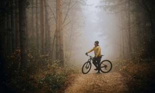 Erdei kerékpárutakat újítanak fel a Visegrádi-hegységben és a Pilisben