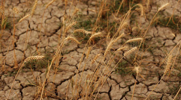 Mit tehet az agrárium a klímaváltozás ellen? – Áder János az Agrárszektor Konferencián