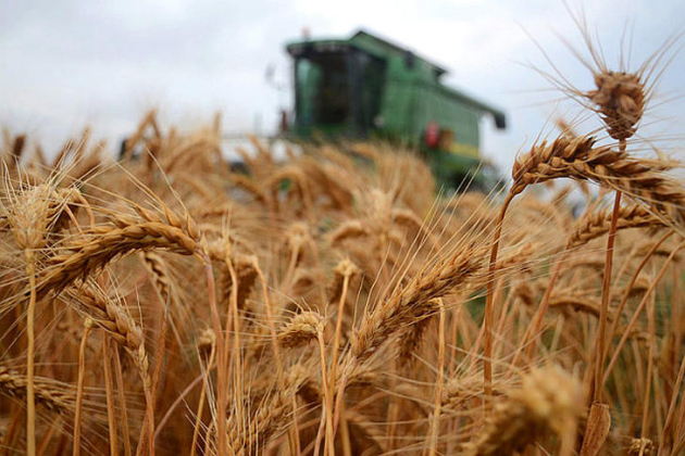 Magyar gabonaexport: visszavont egy intézkedést a kormány