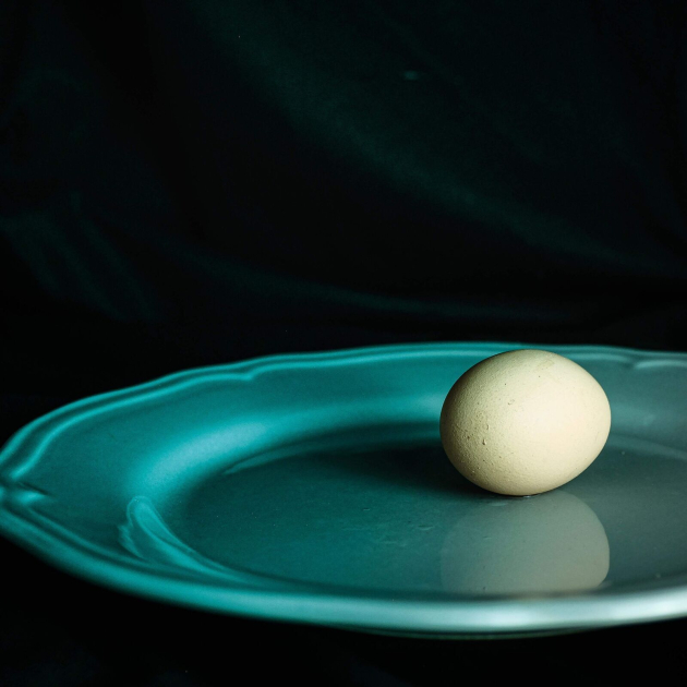 Hogy kerül a tojás az asztalra? – a MATE innovációja jóvoltából mostantól kezdve már a lehető legjobb minőségben