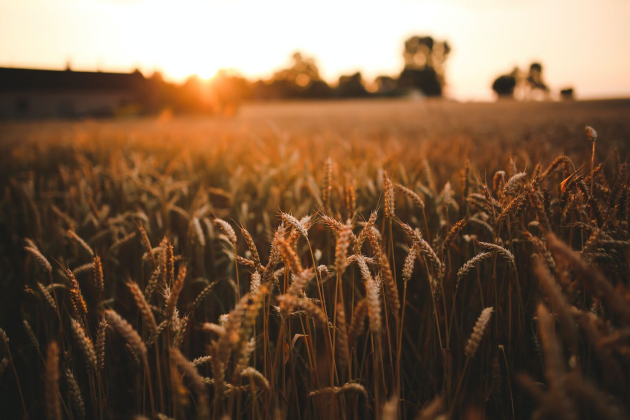 Megjelent az Agro-ökológiai Program részleteit bemutató kiadvány